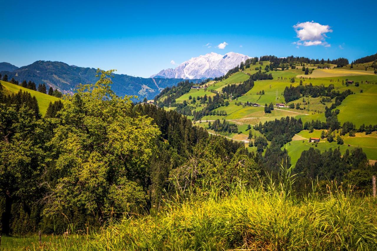 Hallmoosgut Sankt Johann im Pongau Dış mekan fotoğraf