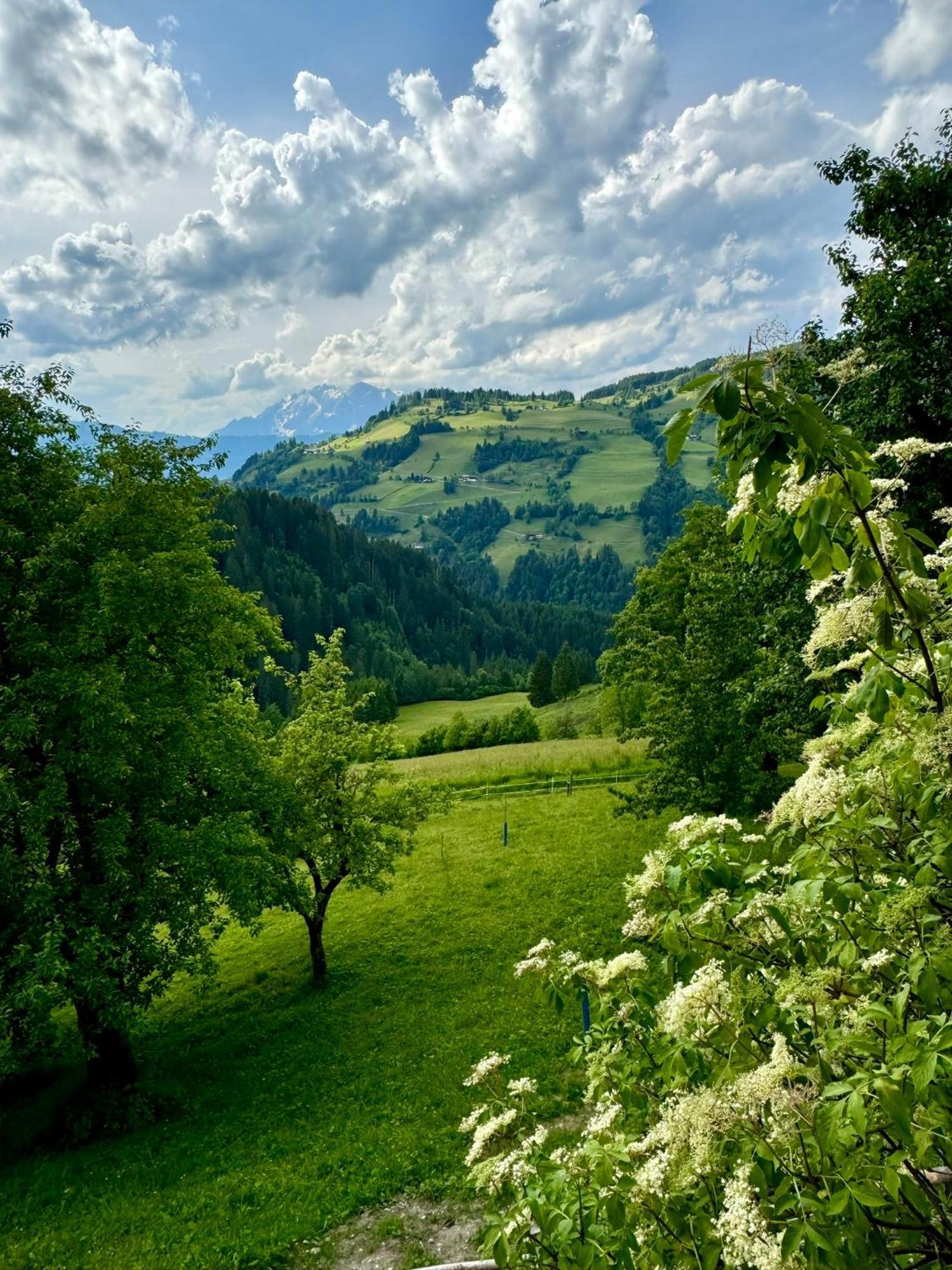 Hallmoosgut Sankt Johann im Pongau Dış mekan fotoğraf